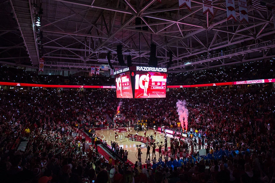 Fans watching Arkansas basketball inside Bud Walton Arena