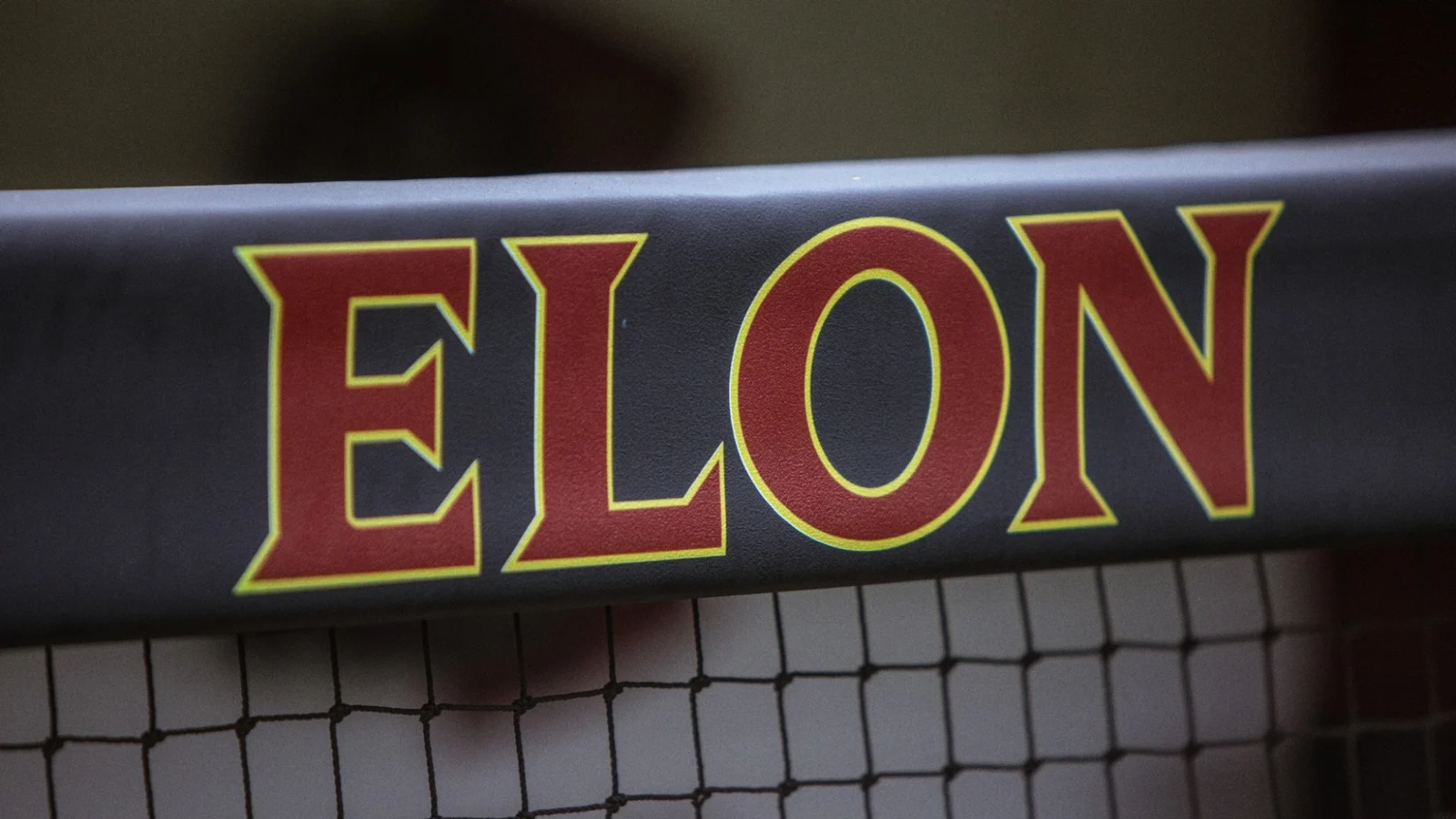 Elon Baseball Stand In