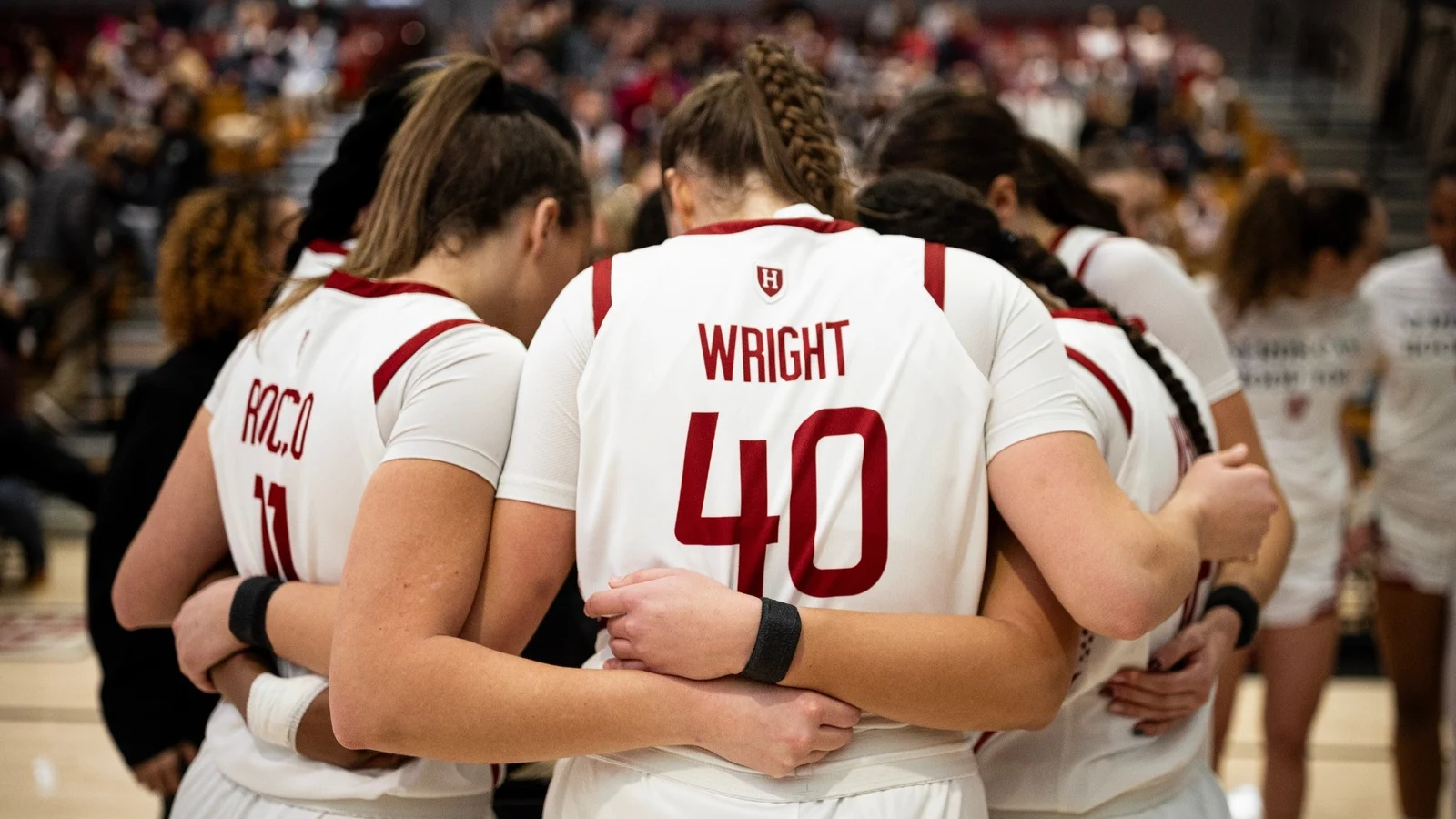 Harvard WBB