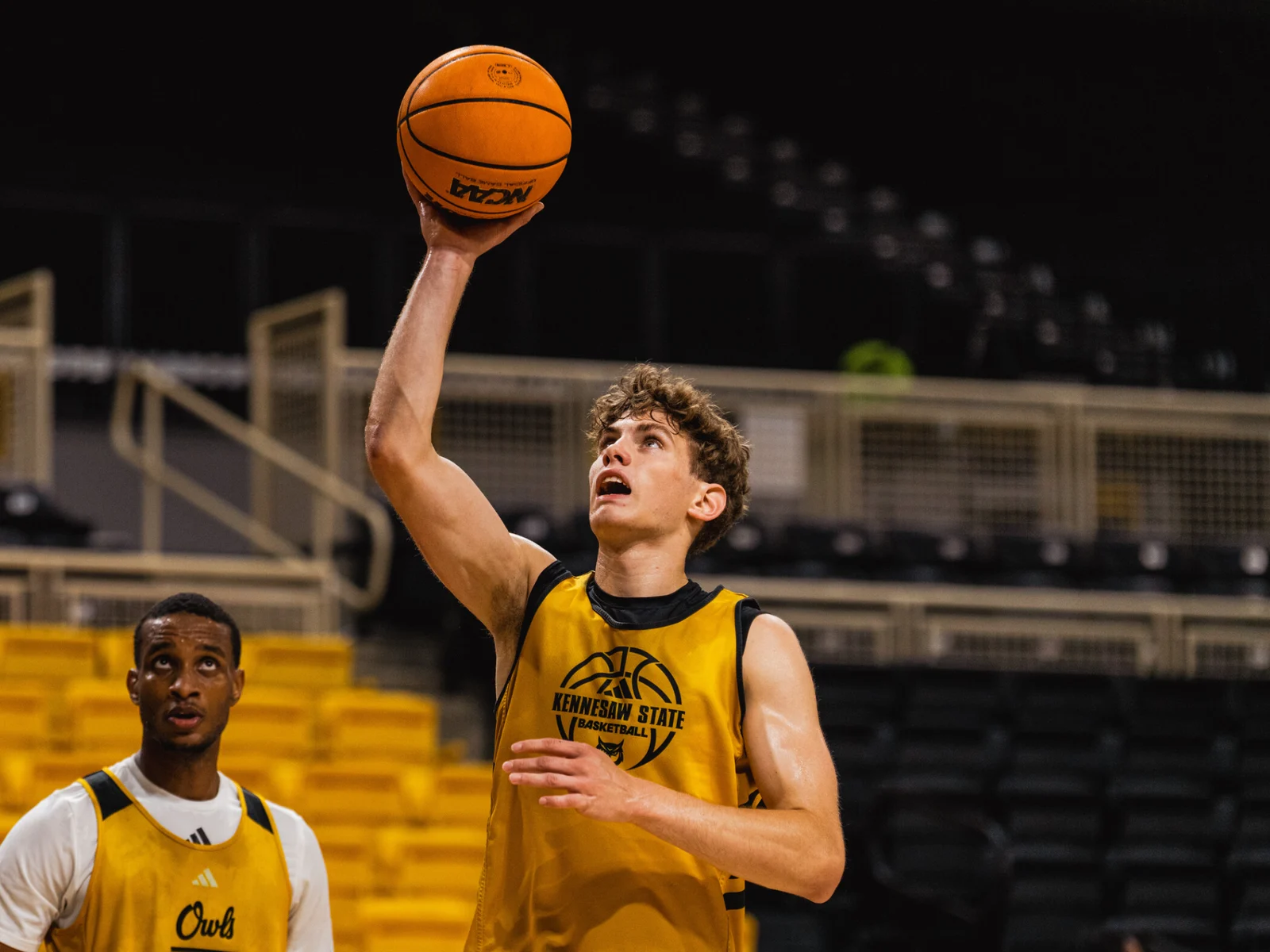 Levi Ball