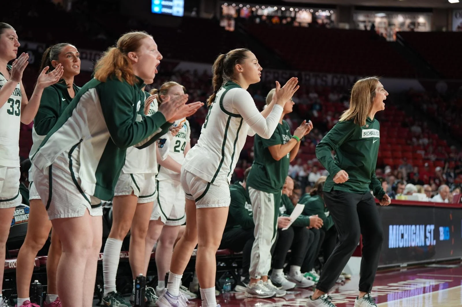Celebration vs. CSU