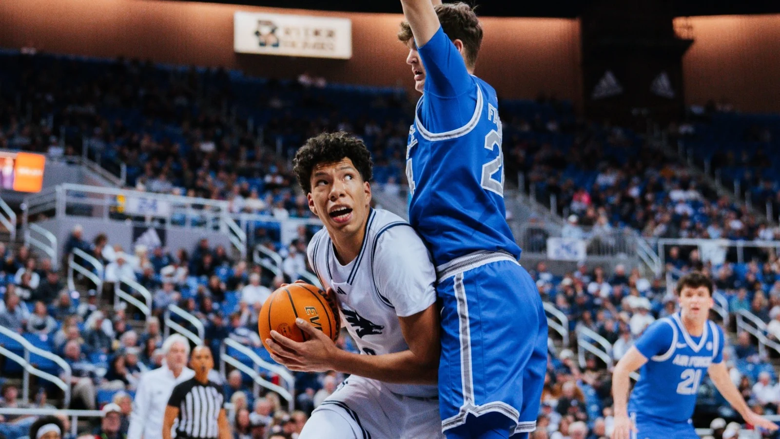 Lowery vs AF